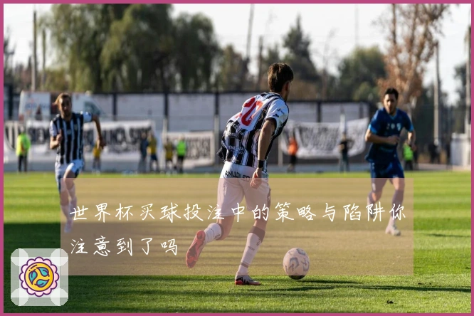 世界杯买球投注中的策略与陷阱你注意到了吗